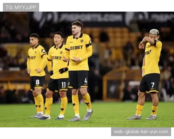 SUDU低价球衣策略挑战行业 狼队合作探索球迷消费降级新市场